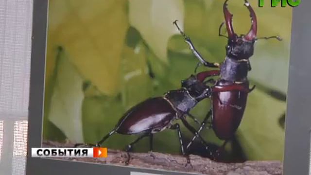 Среда обитания смотреть онлайн