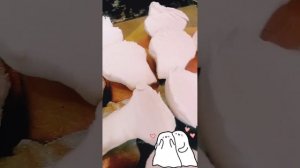 Приготовление грибов дождевик шиповатый. Вкусно, бюджетно! ?