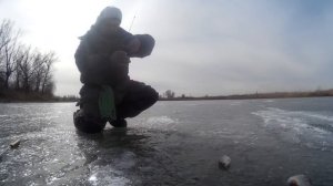 Безмотылка не подвела ловлю и получаю удовольствие.