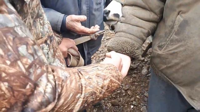ASAKA MOL BOZORI PAYSHANBA  BOZOR АСАКА МОЛ  БОЗОРИ  ПАЙШАНБА МОЛ БОЗОРИ