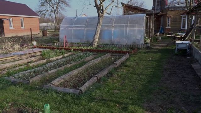 ПРИРОДНЫЙ ОГОРОД ТРУФАНОВЫХ В КАЛУЖСКОЙ, апрелЬ 2019 г.