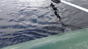 Рыбалка в октябре на ламбушке. Рыбалка в Карелии.