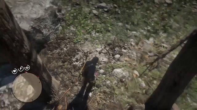 Red Dead Redemption 2: All 5 Dragon's Mouth Orchids Locations смотреть онлайн