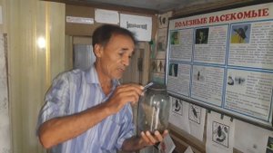 Метод приготовления и применения габробракона