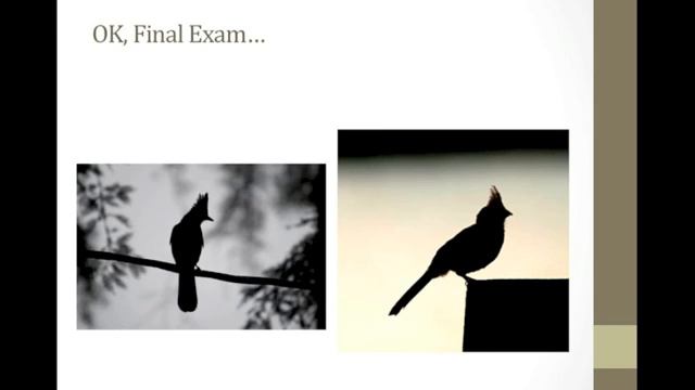 Birding 101, Part 1 смотреть онлайн