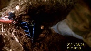 веерная картофелекопалка для мотоблока типа ФАВОРИТ (3Ч)-ночная копка картофеля (28.08.21)