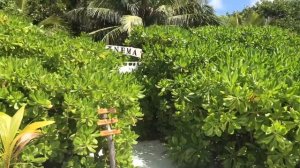 Coco Palm Dhuni Kolhu