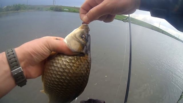 Ловля карася. Карась на мушки. Весняна ловля карася на бомбарду. 2 смотреть онлайн