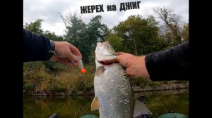 ЖЕРЕХ НА ДЖИГ. Голавли на китайские воблеры. Рыбалка сплавом по реке со спиннингом