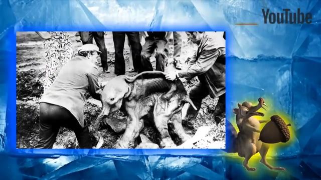 Эту удивительную находку нашли во льду,  мамонты которых скрывает Сибирь
