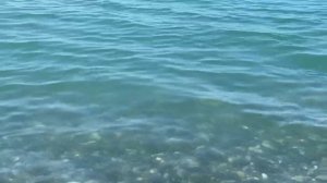 27.05.2023. Погода в Сочи в мае.Смотри на Чёрное море каждый день.