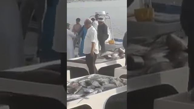 Fish market in ajman