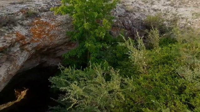 Природа Оренбургской области смотреть онлайн