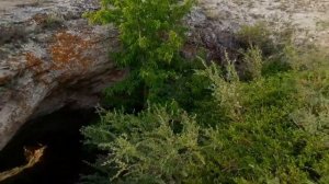 Природа Оренбургской области