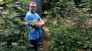 Умеют ли лаять волки?