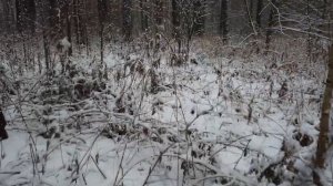 ПРИТЧИ О ДОСТИЖЕНИИ ЦЕЛИ. Исключите желания противоречащие друг другу...