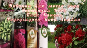 Новинки на 2022 для моего сада!