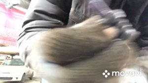 Чистка направляющих суппорта на матизе 0.8 механика