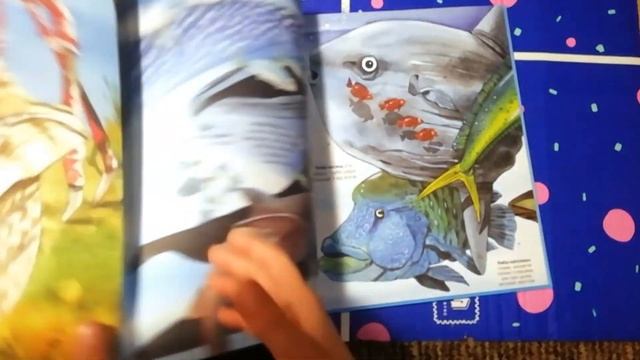 Обзор детской книги морские обитатели смотреть онлайн
