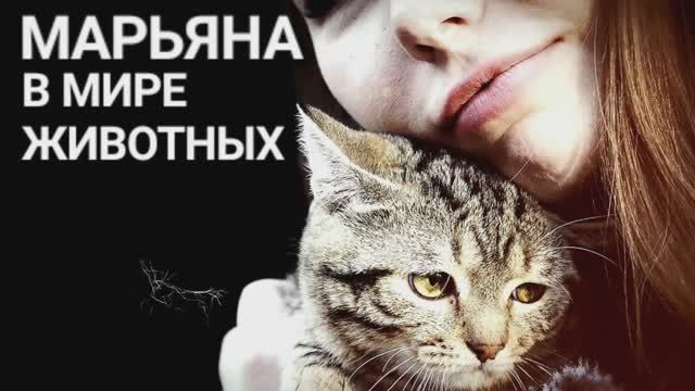МАРЬЯНА В МИРЕ ЖИВОТНЫХ : военный корреспондент и ведущая проекта "Мы живы" Марьяна Наумова