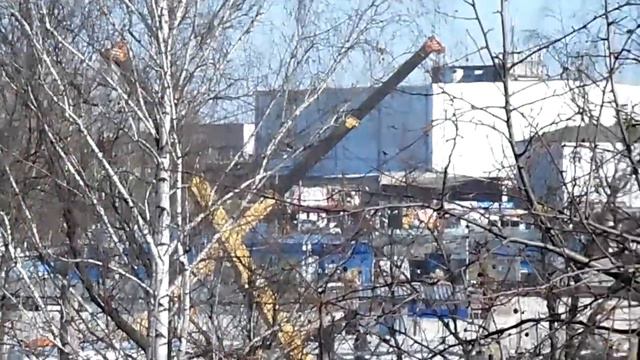 заречка (14.03.2016)