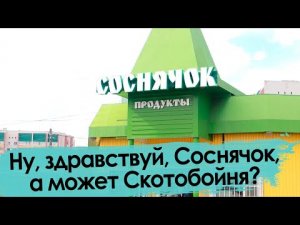 Сосновый Бор в Чите – и сквозь века все та же Скотобойня