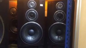 Акустика Сони - SONY SS G333ES