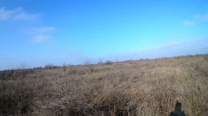 ОХОТА НА КУРОПАТОК В КРЫМУ 2019 ГОДУ