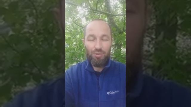 Что делать, если я в замешательстве!