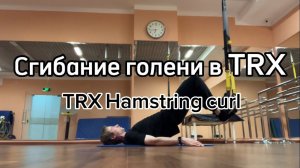 Сгибание голени в TRX (TRX Hamstring curl)