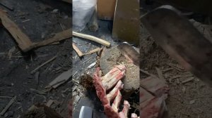 Цельнометаллические тяпки Х12МФ и 95х18 в чем разница?