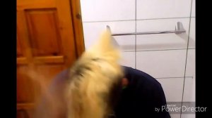 КАК СДЕЛАТЬ ИРОКЕЗ МЫЛОМ
