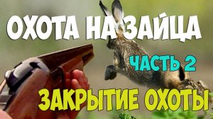 Охота на зайца . Закрытие охоты - часть вторая.