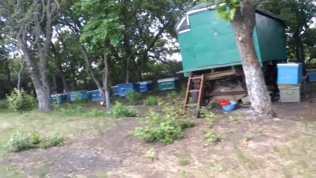 нашёл в степи бакшу и пасеку смотреть онлайн