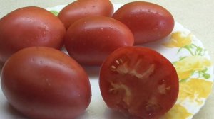 ТОМАТ ДЯДЯ СТЕПА. ОБЗОР. Ольга Чернова.