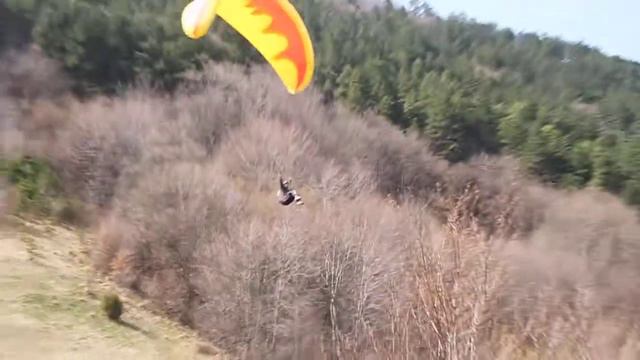 Rimetea, primul meu copac ... смотреть онлайн