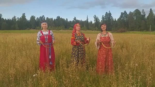 Женская вокальная группа «Суряница» • Златовласая Майя смотреть онлайн