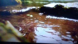 Понимание сценария жизни,как путь избавления от страданий. Пак Джэ Ву