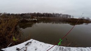 Ловля форели в Московской области, Химки, Вашутино