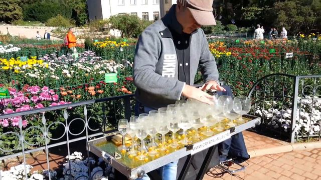 Бал хризантем смотреть онлайн