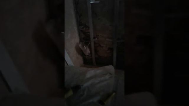 Ремонт Квартиры - 4 Строительство домов Коттеджей  Ремонт Квартир