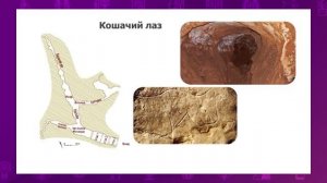 Всемирная история. 5 класс. Почему стены пещеры Ласко были разрисованы /09.09.2020/