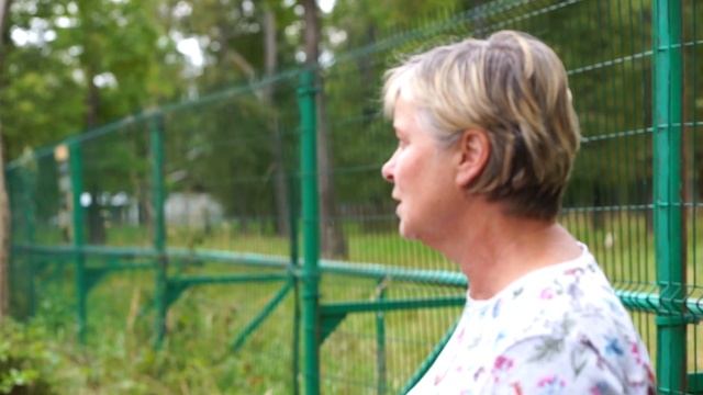 Зубры и бизоны Приокского террасного заповедника - Москвография - Что посмотреть в Москве смотреть онлайн