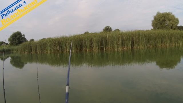 Гарно підготовився, щоб піймати карася, а риба клювати відмовляється! Ловля карася в серпні! смотреть онлайн