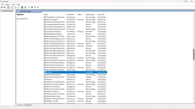 MySQL Workbench No Connection Established Error Fix