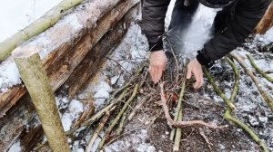 Forced overnight stay in winter forest with wild boar | arranging a semi-destroyed shelter!