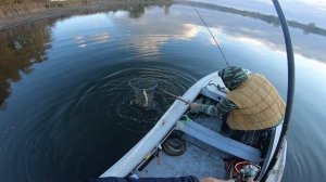 рыбалка 2021  ГОЛОДНЫЕ ЩУКИ БРАСАЮТСЯ НА МАЛЬКА ПРЯМО В ЭКРАНЕ