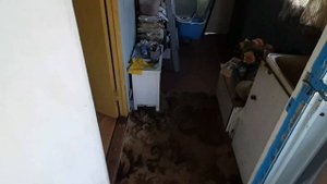 результаты реставрации газовой плиты и духовки
