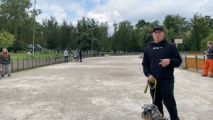 ГРУППОВОЕ ЗАНЯТИЕ С СОБАКАМИ НА ПЛОЩАДКЕ В МОСКВЕ