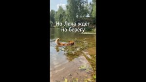 Когда лето наступило в августе